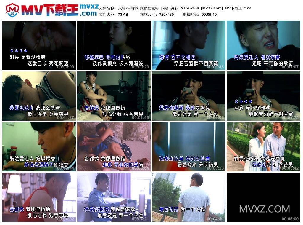 成铭-告诉我 我哪里做错_国语_流行_MD202464